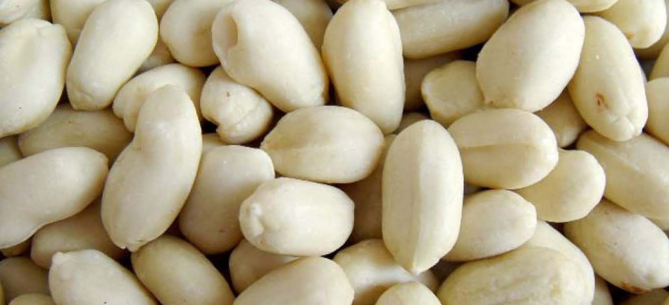export quality peanuts