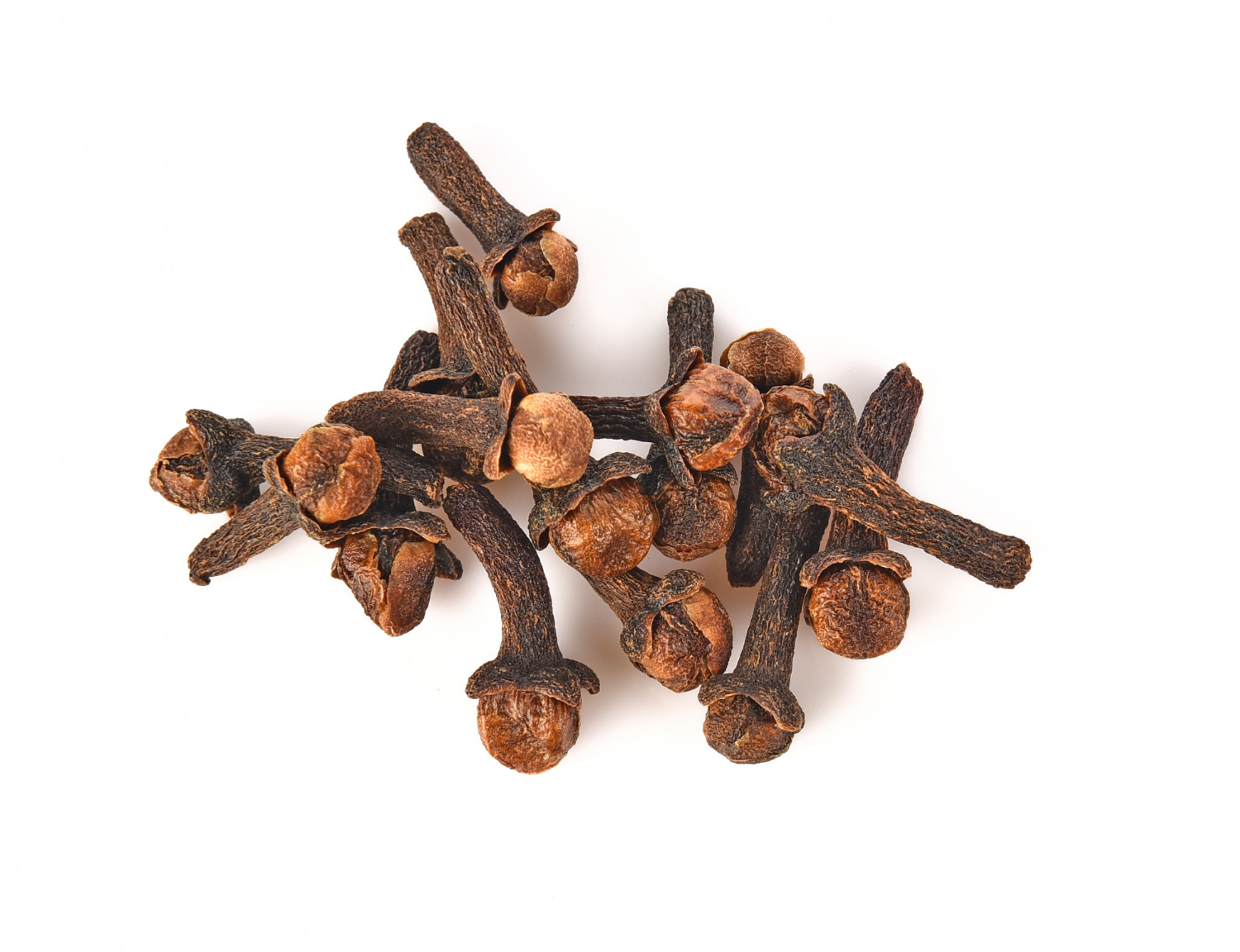 export quality cloves