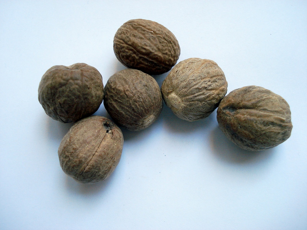 Export Quality nutmeg