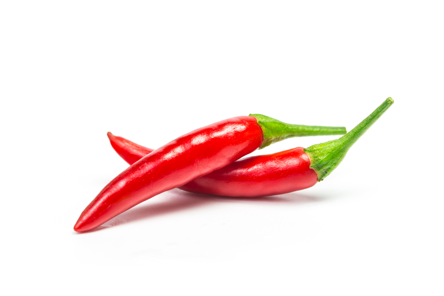 Export quality red chillies